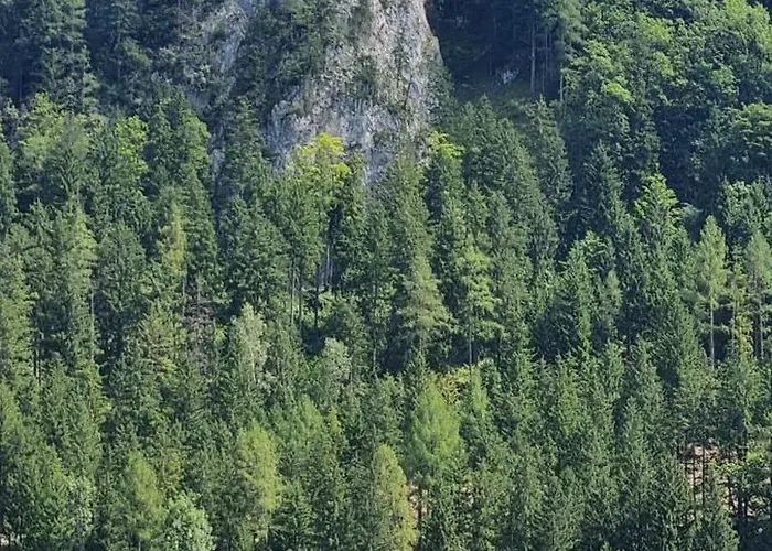 Rum i privatbostad Gorshof Spital Am Pyhrn