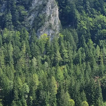 Privatunterkunft Gorshof Spital Am Pyhrn