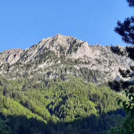 Gorshof منزل للإقامة